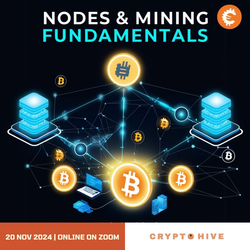 Cover Image for Nodes & Mining Fundamentals