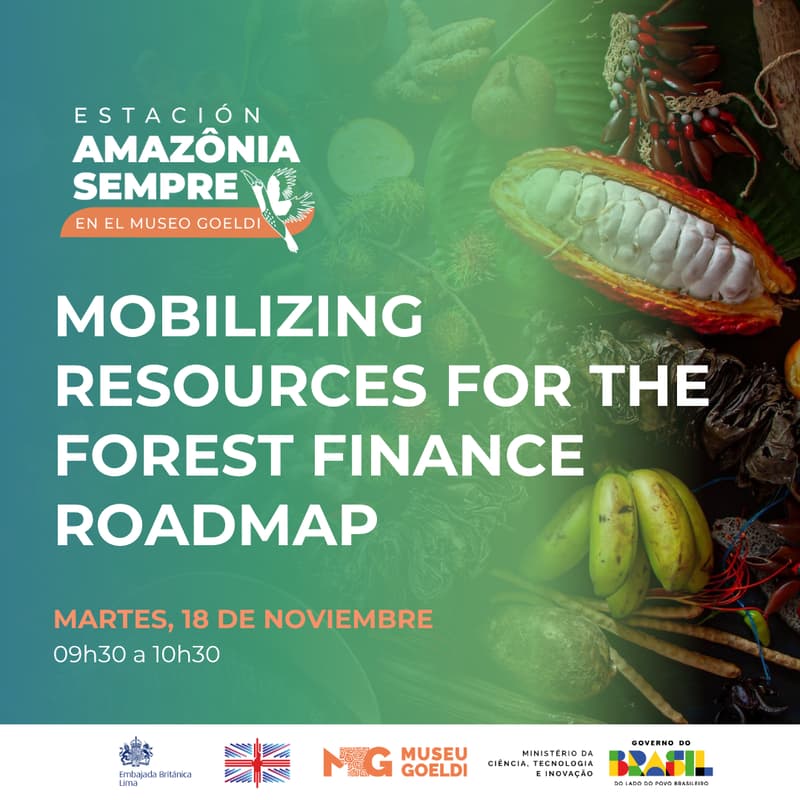 Cover Image for Mobilizing resources for the Forest Finance Roadmap - Virtual