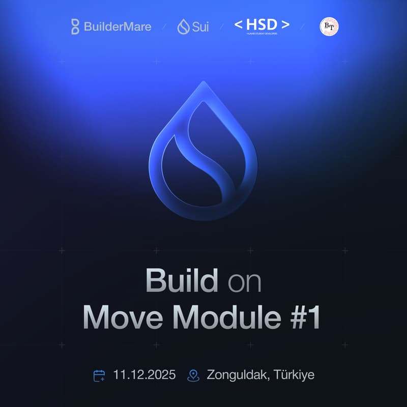 Cover Image for BuilderMare SUI Education Zonguldak Session #1