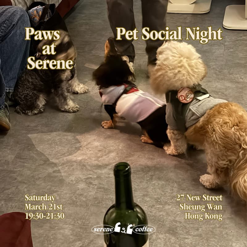 Cover Image for Paws at Serene: Pet Social Night