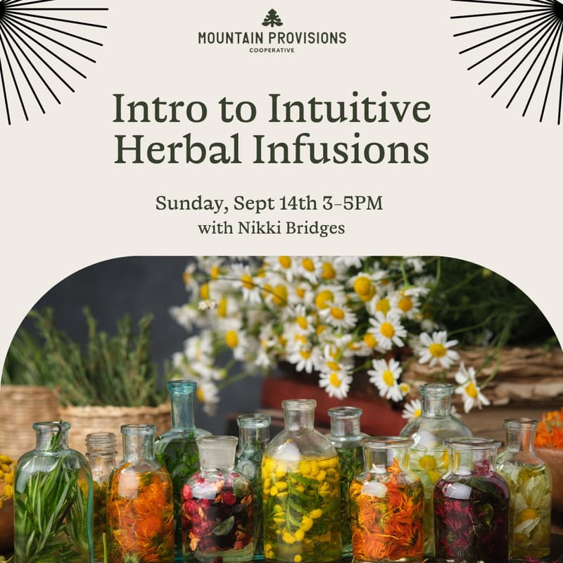 Cover Image for Intro to Intuitive Herbal Infusions