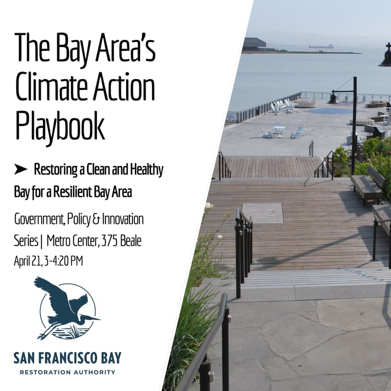 Cover Image for Restoring a Clean and Healthy Bay for a Resilient Bay Area