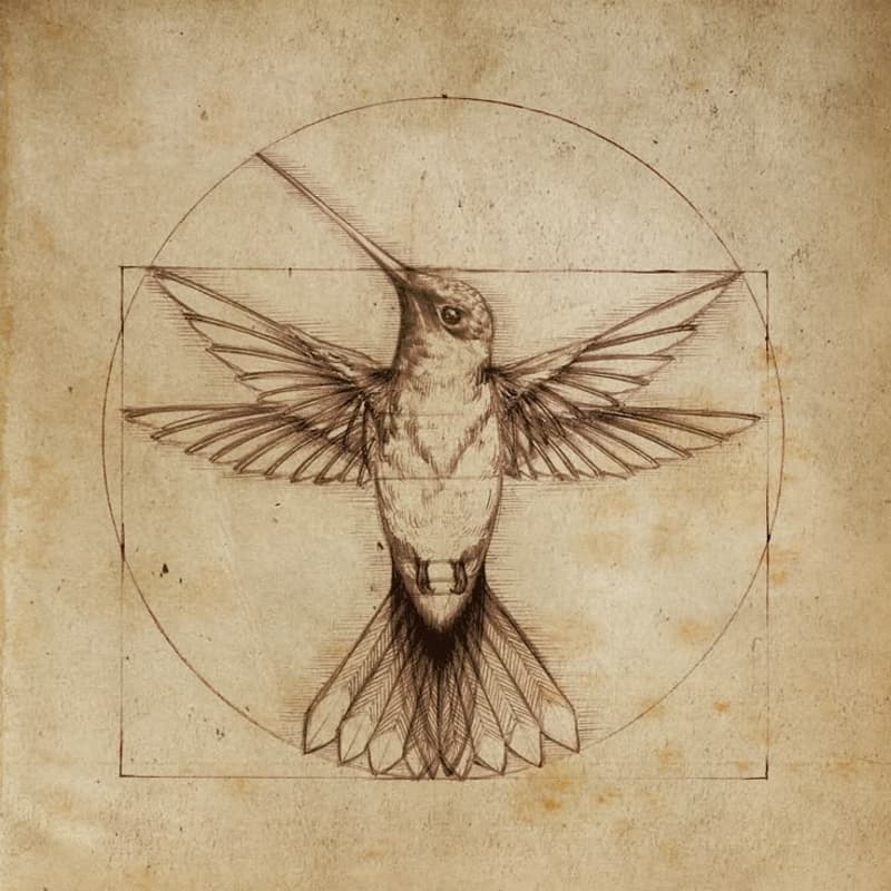 Cover Image for Da Vinci Night
