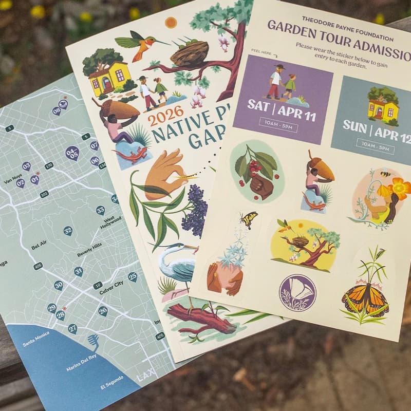 Cover Image for Annual Theodore Payne Native Garden Tour This Weekend -- Helpful Visiting Tips For You!