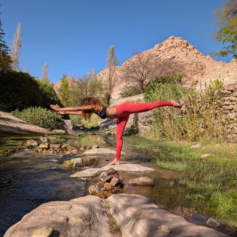 Cover Image for Yoga Flow + Mobility