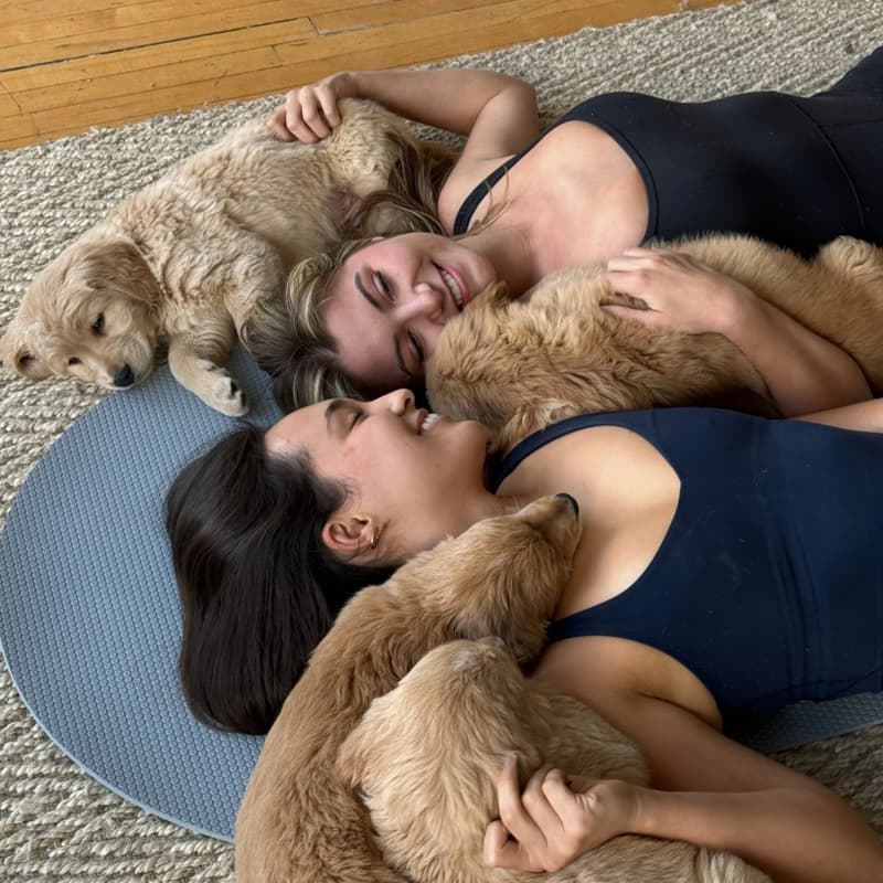Cover Image for Puppy Yoga Sunday Social For Tech & Marketing Professionals
