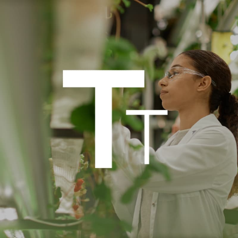 Cover Image for TTI Food Systems & Circular Economy Circle