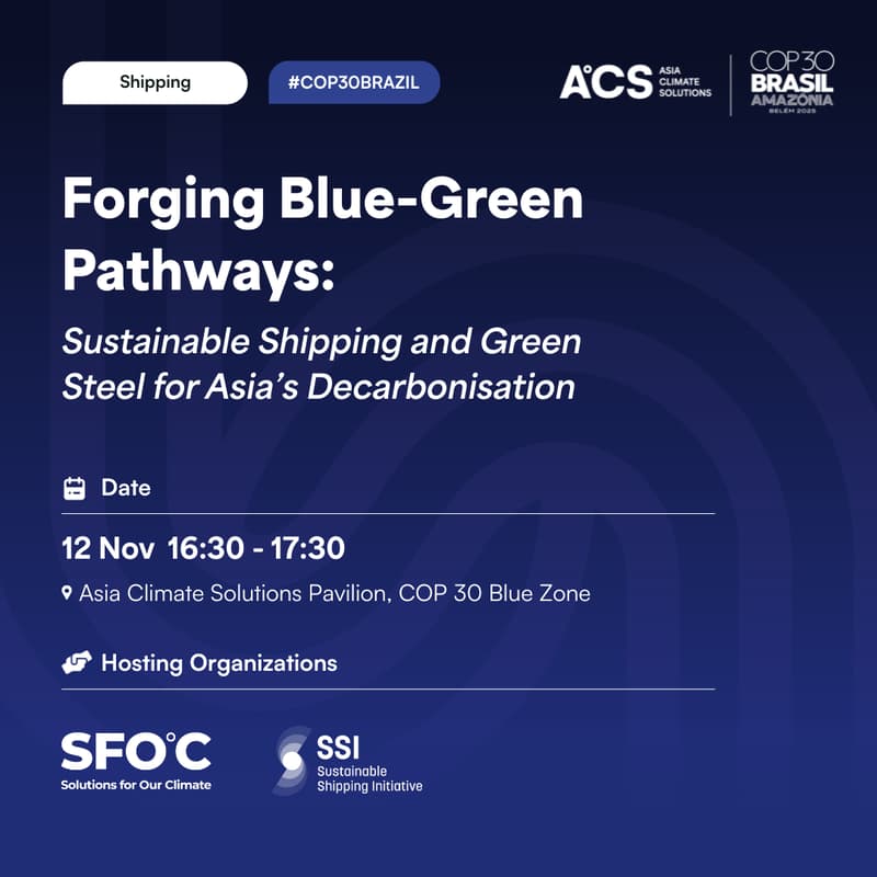 Cover Image for Forging Blue-Green Pathways: Sustainable Shipping and Green Steel for Asia’s Decarbonisation