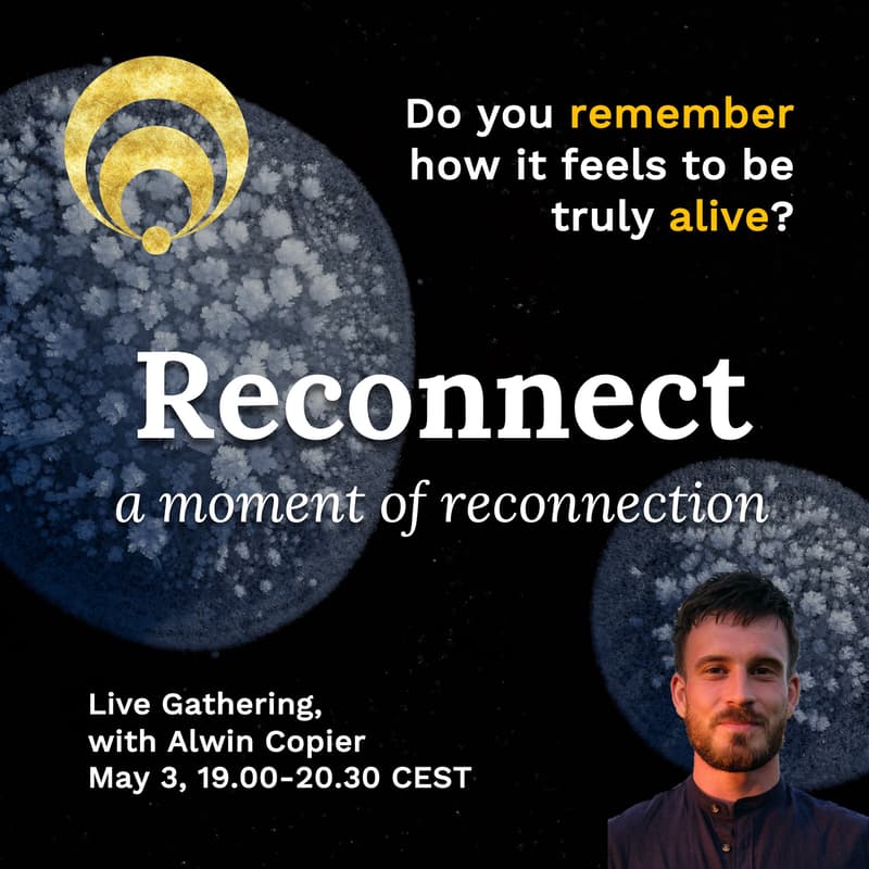 Cover Image for Reconnect - together we remember to be truly alive