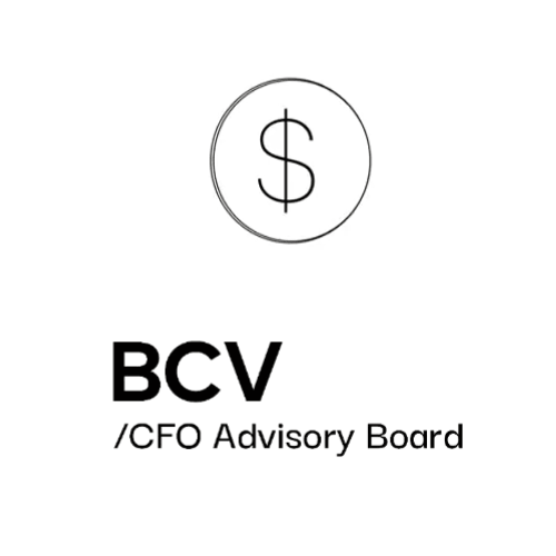 Cover Image for BCV NYC CFO Dinner