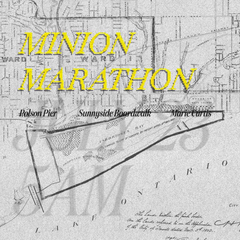 Cover Image for tommy's minion marathon