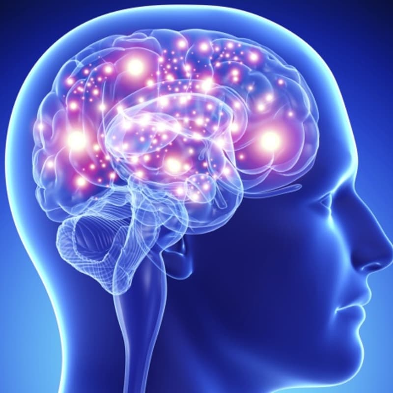Cover Image for Precision in Psychiatry – Leveraging Personalized Medicine