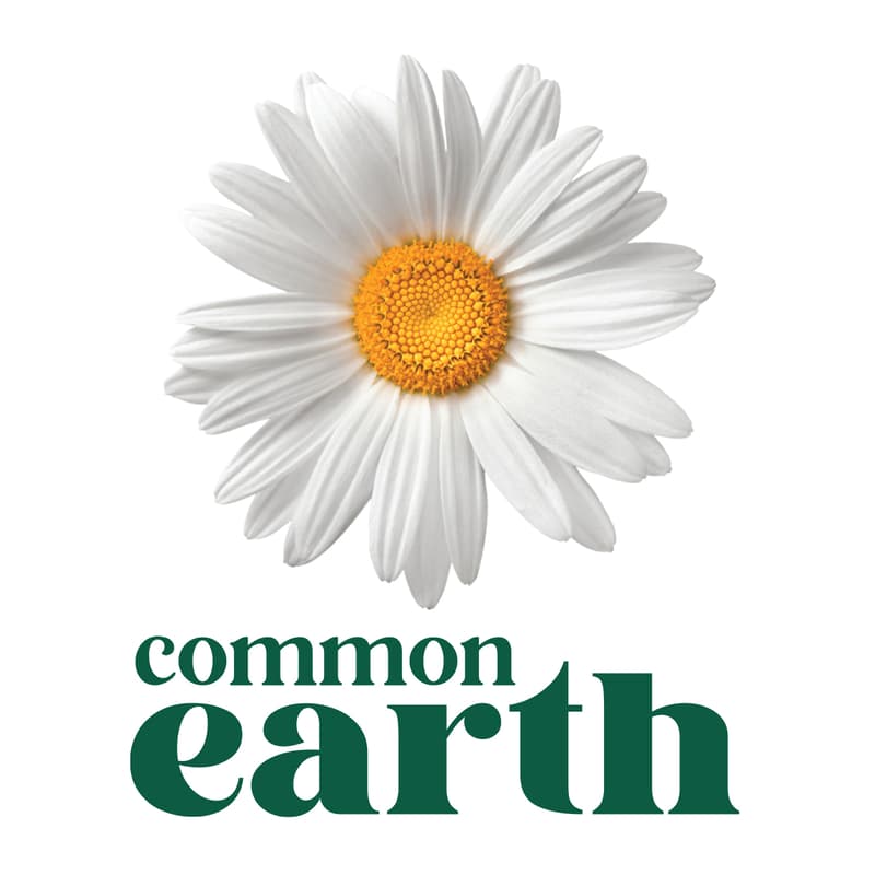 Cover Image for Systems, Storytelling and Science: leveraging deep change for a better future with Common Earth