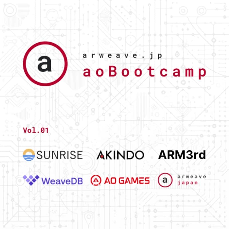 Cover Image for Arweave aoBootcamp Vol.2