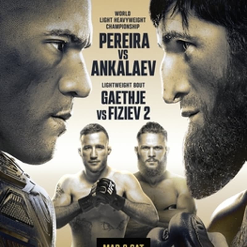 Cover Image for UFC 313 Watch Party