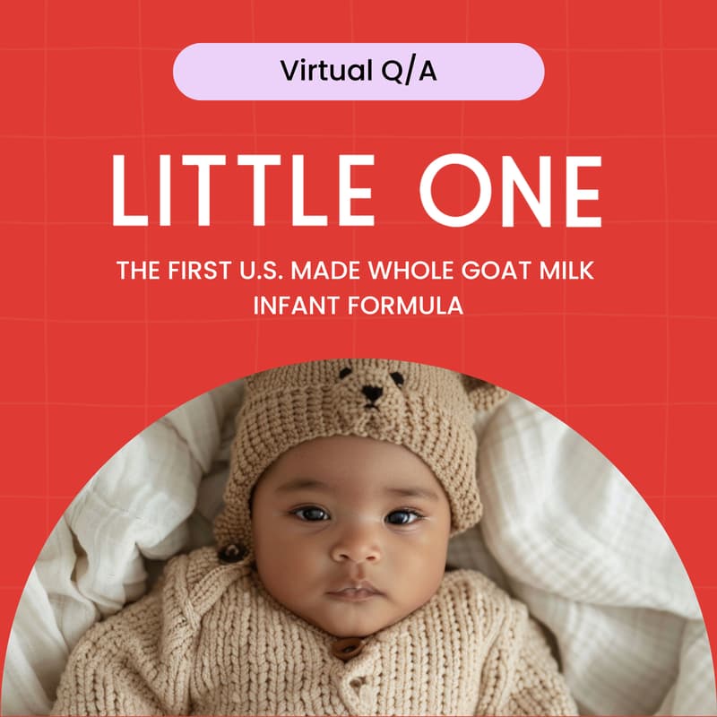 Cover Image for Little One – Investor Follow-Up Session