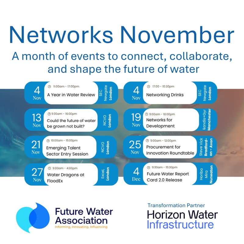 Cover Image for Networks for Development - Making Water Connections Work for New Builds