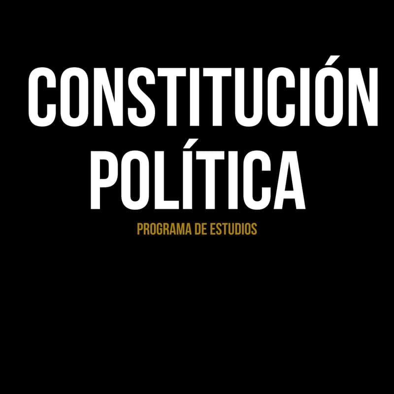 Cover Image for PROGRAMA CONSTITUCIÓN POLÍTICA