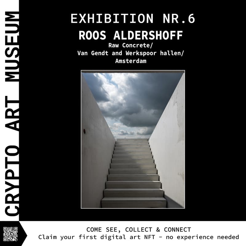 Cover Image for Roos Alderhoff Exhibition Vernissage