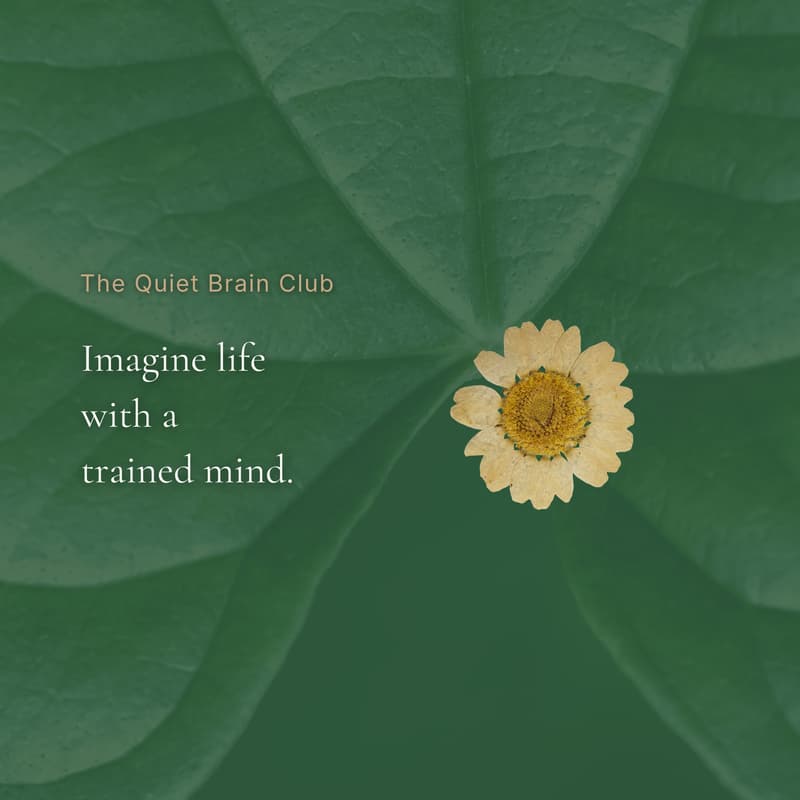 Cover Image for Attention Training for the Digital Age