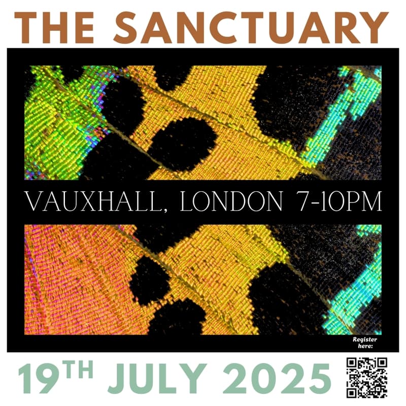 Cover Image for The Sanctuary House Church