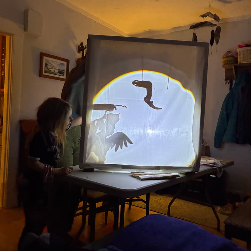 Cover Image for Trash Puppet Fiasco