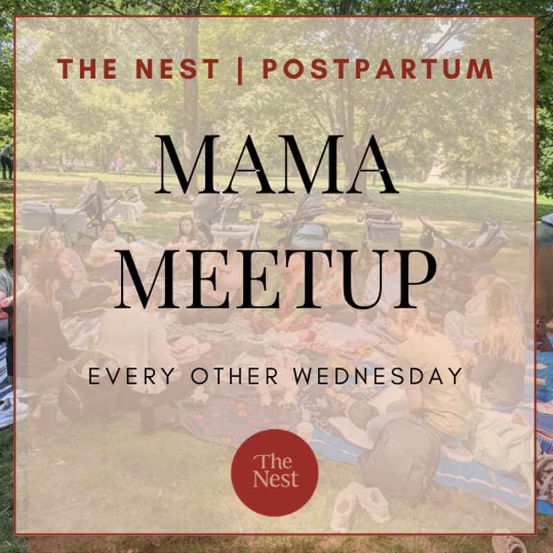 Cover Image for Mama Meetup | The Nest