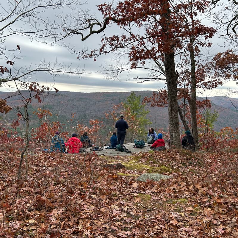 Cover Image for Introduction to Winter Tree Identification - Washington, DC