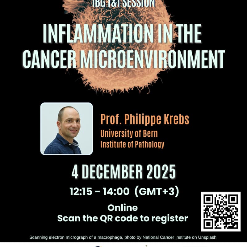 Cover Image for Inflammation in the cancer microenvironement by Dr. Philippe Krebs
