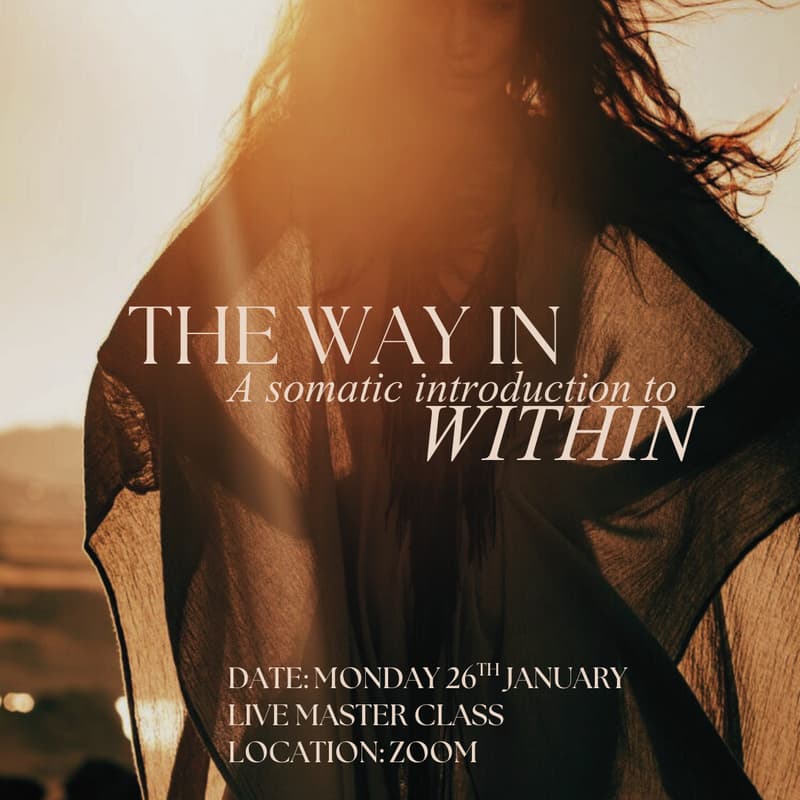 Cover Image for The Way In - A Somatic Intro to WITHIN! - Online Masterclass