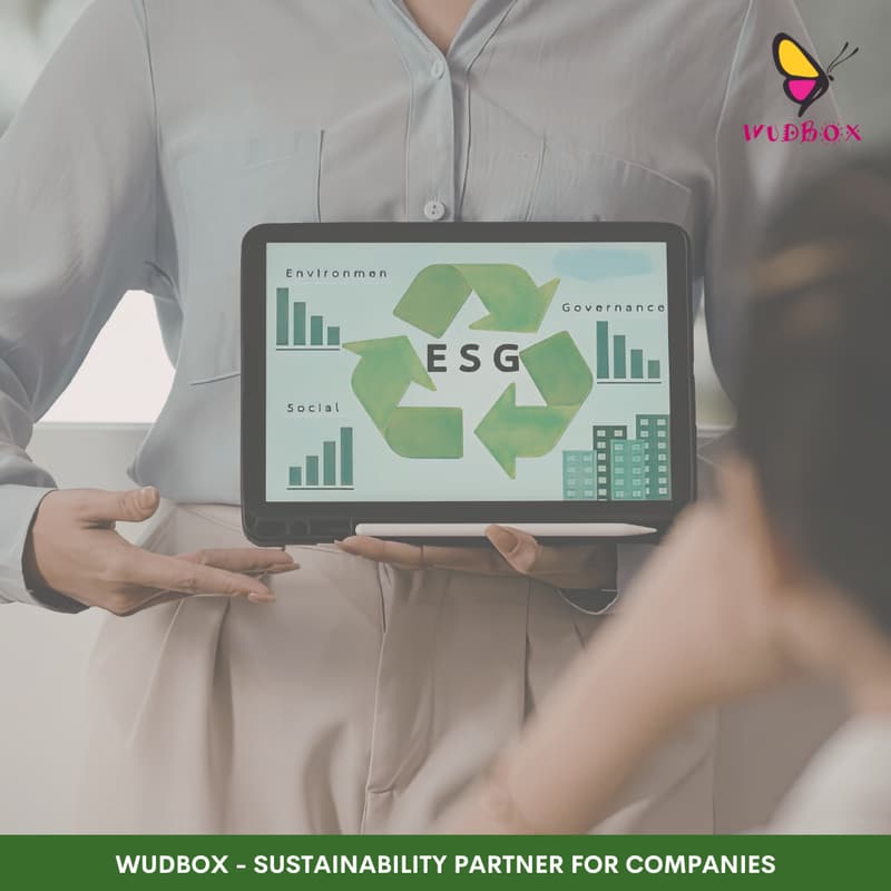 Cover Image for Live Carbon Accounting Session