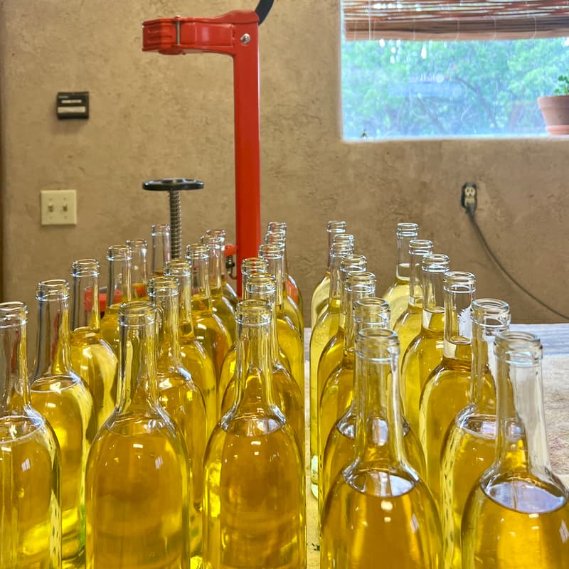 Cover Image for An Intro to Cellar Work: Sensory Evaluation and Bottling