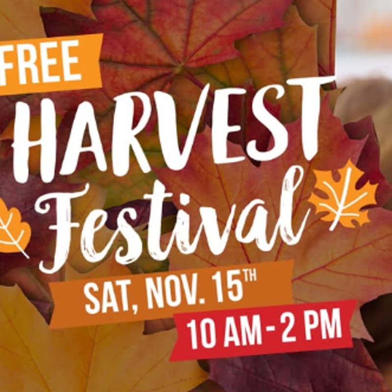 Cover Image for Come see us!