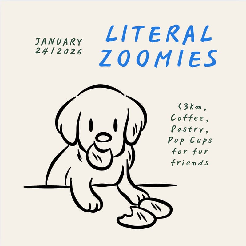 Cover Image for literally THAT zoomies