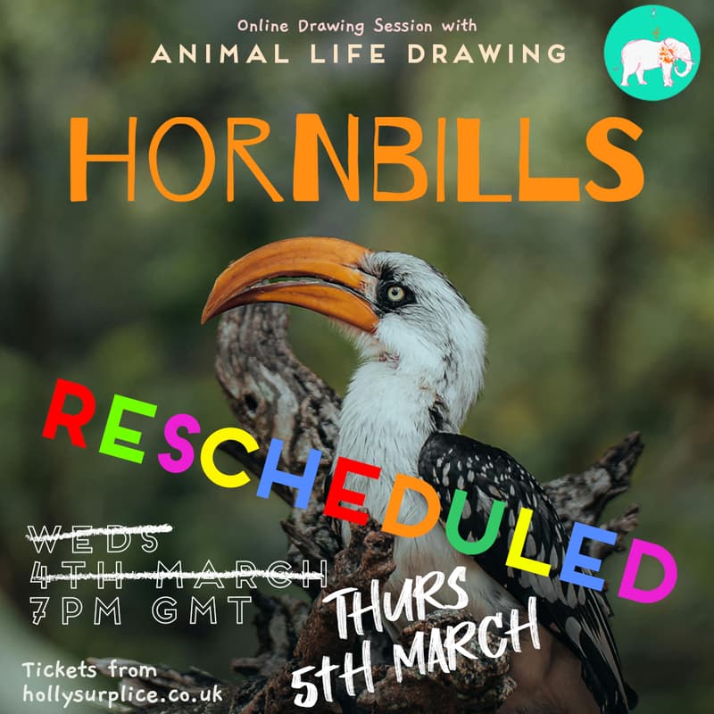 Cover Image for Hornbills Drawing Session