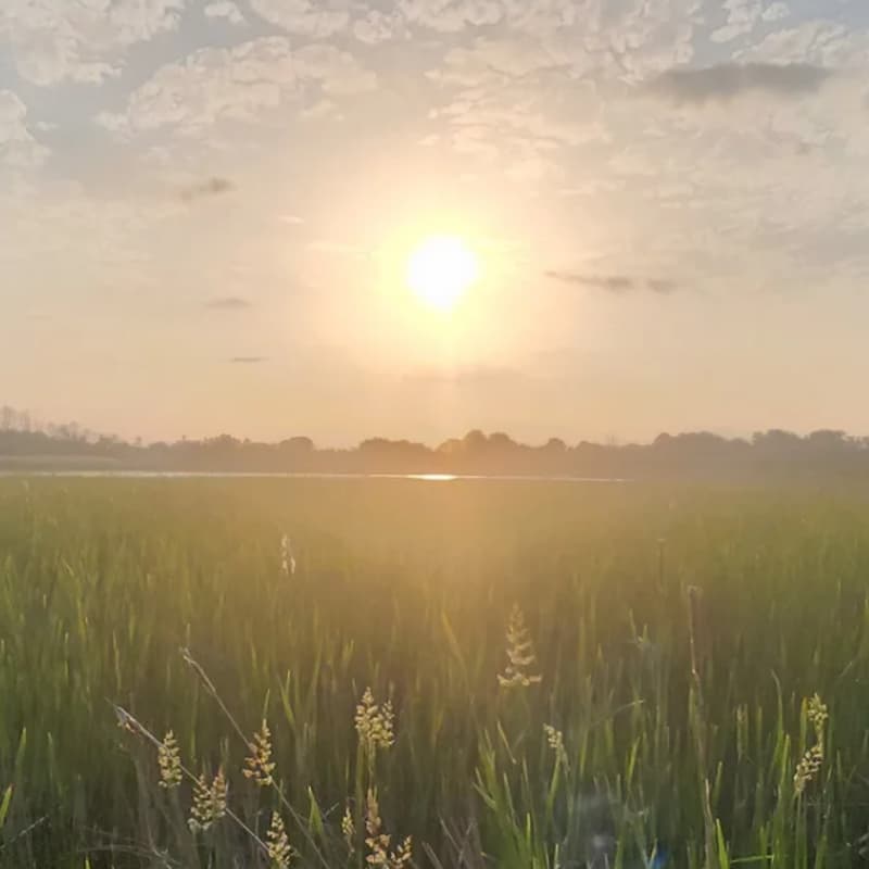 Cover Image for Lynde Shores – (Whitby) ~10km