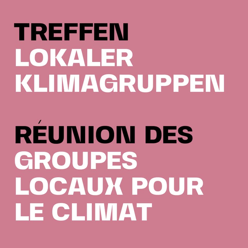 Cover Image for Treffen lokaler Klimagruppen // Réunion des groupes locaux pour le climat