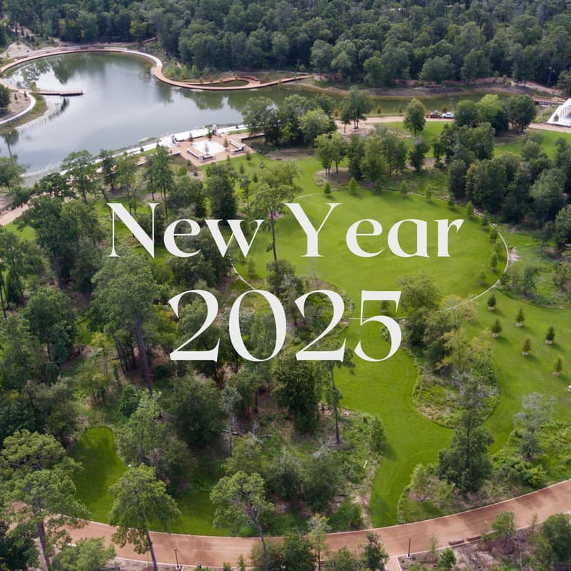 Cover Image for New Year’s Day Celebration: Games, Dance & Picnic Fun!