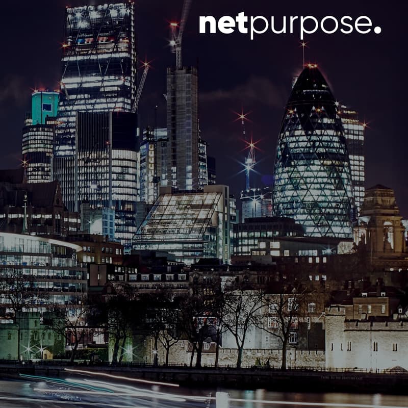Net Purpose End of Year Celebration · Luma