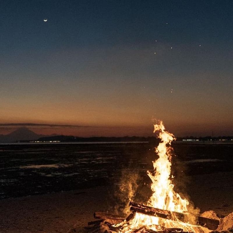 Cover Image for MSU Bonfire