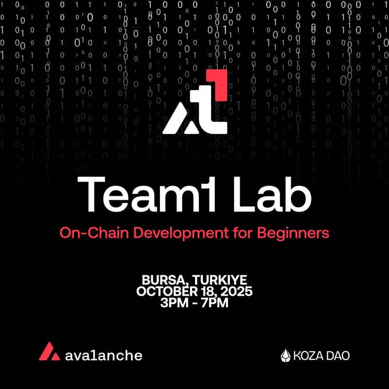 Cover Image for Team1 Lab | On-Chain Development for Beginners