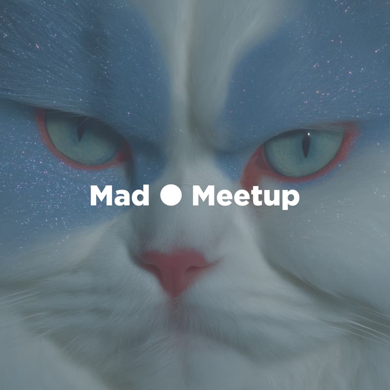 Cover Image for Mad ⚫ Meetup #30: Swarm Autonomy & Self-Driving