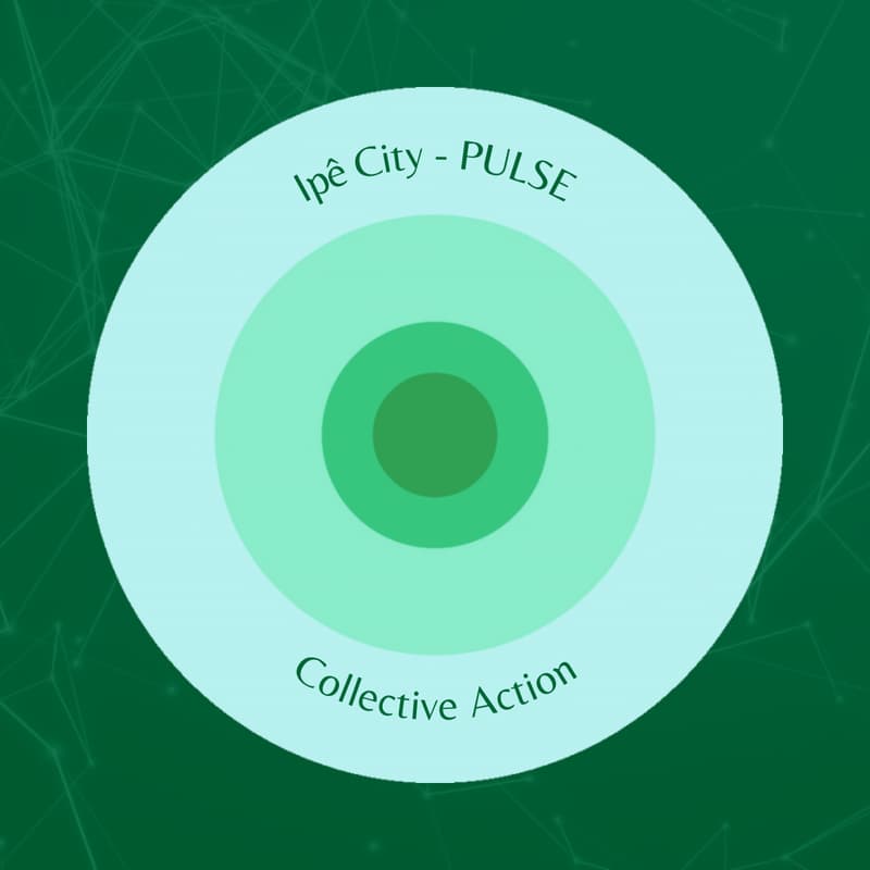 Cover Image for Ipê City - PULSEs