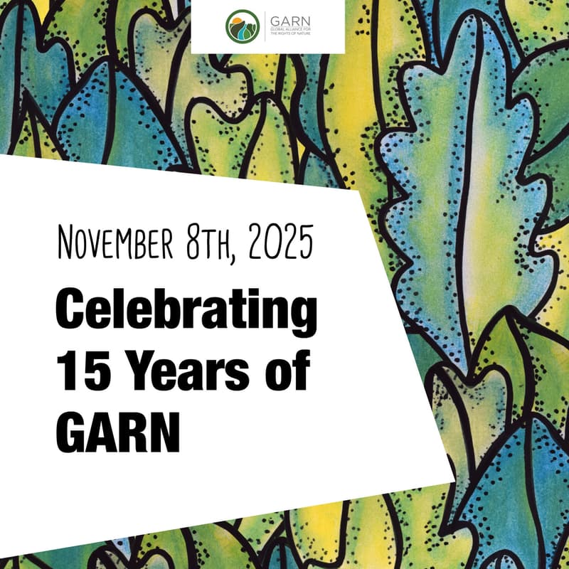 Cover Image for 15 Years of GARN – Belém, Brazil