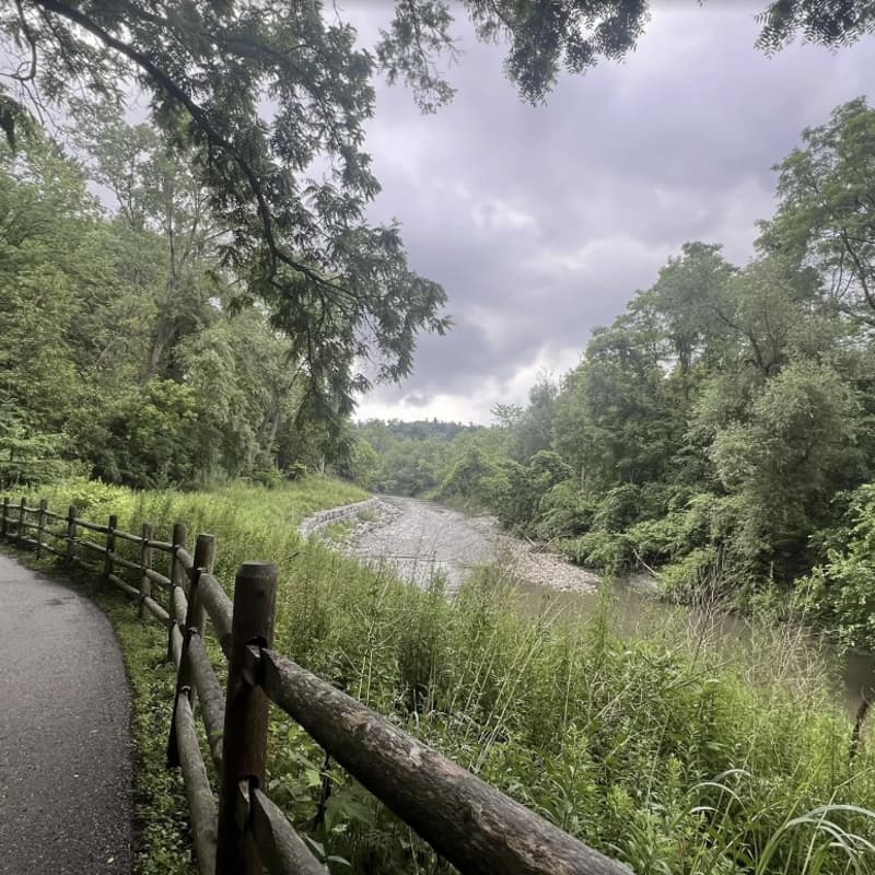 Cover Image for Morningside Park - Hike (Toronto) – 10km – Easy