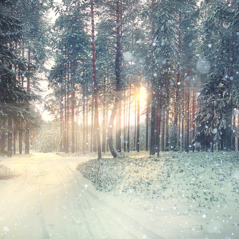 Cover Image for Last Friday Club: JANUARY