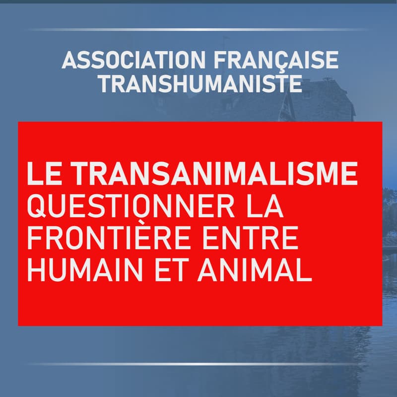 Cover Image for Le transanimalisme