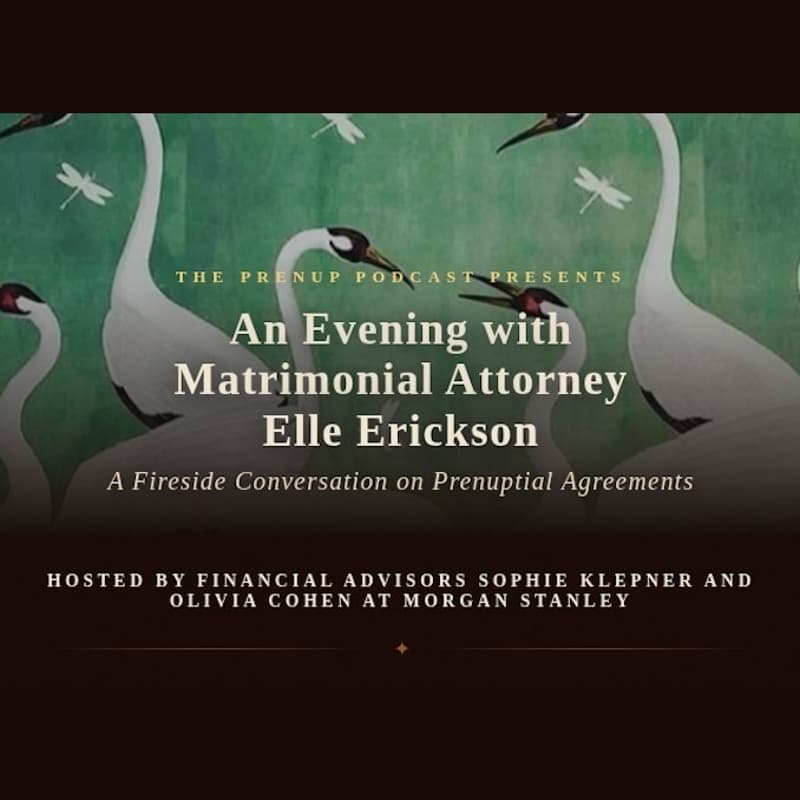 Cover Image for An Evening with Matrimonial Attorney Elle Erickson