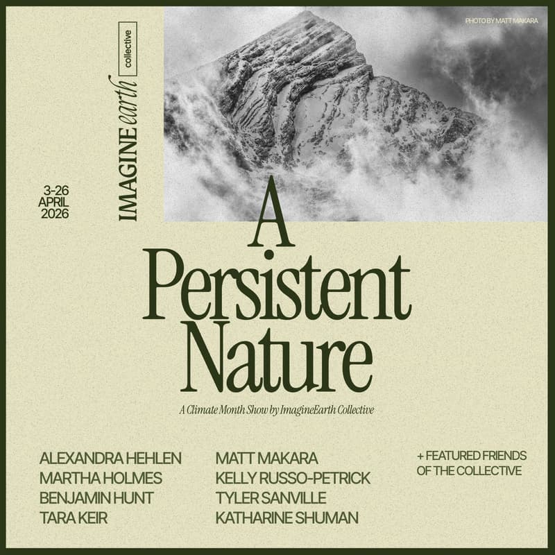 Cover Image for "A Persistent Nature" Closing Reception by ImagineEarth Collective at Gallery B