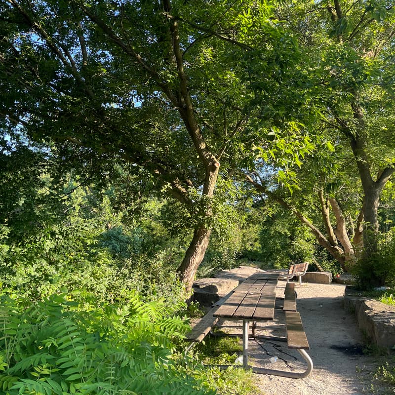 Cover Image for Sunrise Hike-7.6km